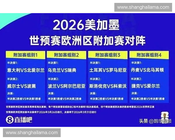 2026年第23届世界杯足球赛精彩回顾与全球赛事盛况解析