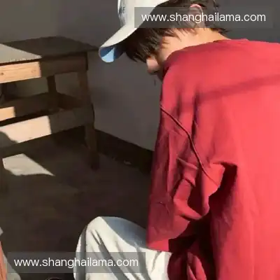 陆冶书